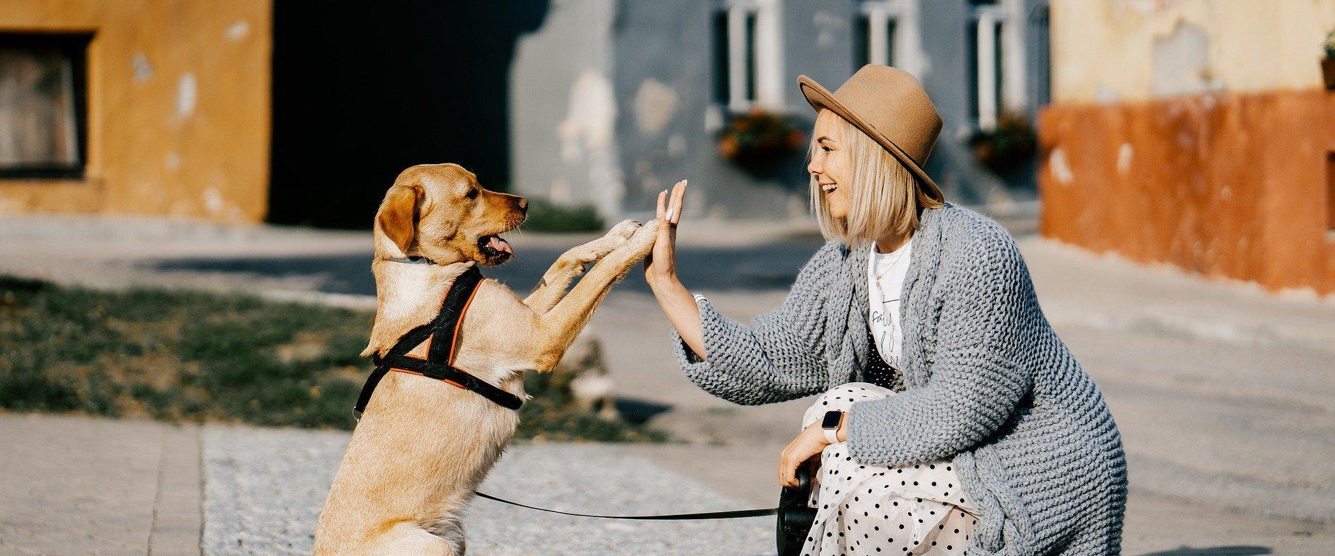girl_and_dog